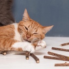 Erva Catnip para Gato Gravetos de Matatabi Oikos Animal - 10 Unidades