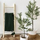 Escada De Madeira Decorativa Natural Lili Casa Altura 1.50m Ú