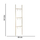 Escada Decorativa Dourada Em Metal 1 55x40 Cm - D'rossi