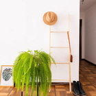 Escada Decorativa Em Madeira - Natural