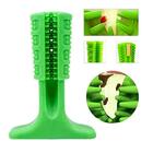 Escova De Dente Para Cachorro - Mordedor E Massageador - Pequ