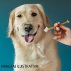 Escova Dental Para Caes E Gatos Western Pet-132  Vermelho