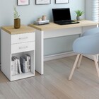 Escritório Completo 2 Gavetas Olmo/branco - Artany Moveis