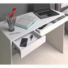 Escrivaninha 02 Gavetas College Ii Artany