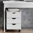 Escrivaninha 120cm Magnólia Com Gaveteiro 3 Gavetas Lomo Falkk