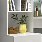 Escrivaninha Com Estante 2 Gavetas Branca Cristal Peternella