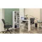 Escrivaninha Com Estante Lateral Multimóveis V2561