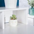 Escrivaninha Madeira Mesa 2 Gavetas 3 Nichos Lennox - Madeira