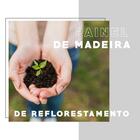 Escrivaninha Madeirada E Tubos Pretos Carraro