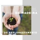 Escrivaninha Mesa Gamer 2 Prateleiras Carraro Preto/vermelho