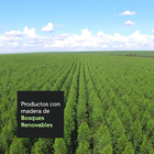 Escrivaninha Mesa Para Computador Madesa Alaska 3 Gavetas 1 P