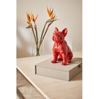 Escultura Cachorro Em Poliresina