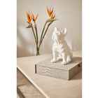 Escultura Cachorro Em Poliresina 15864 Branco Mart