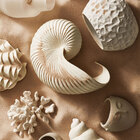 Escultura Coral Em Poliresina 13425 Mart