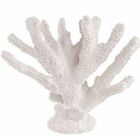 Escultura Coral Em Poliresina 13428 Mart