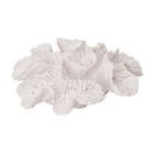 Escultura Coral Em Poliresina 14060 Mart
