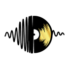 Escultura De Parede Decorativo Musica Disco De Vinil Dourado