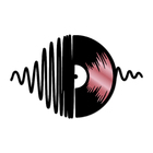 Escultura De Parede Decorativo Musica Disco De Vinil Rose 40x