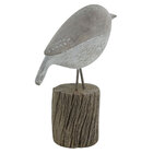 Escultura Decorativa Pássaro Em Resina 18cm Qc0611 Btc