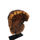 Escultura Requintada Córtex Coleção Madeira Rustica P