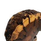 Escultura Requintada Córtex Coleção Madeira Rustica P