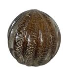Esfera Murano Marrom Com Dourado - Tamanho G (12 X 12 Cm)
