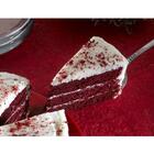 Espátula Para Cortar Bolo E Torta Pá De Inox Natural 25cm