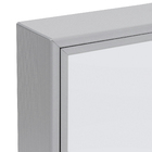 Espelheira para Banheiro 2 Portas 48,5x52,5x9,5cm Linha Retrô Silver Cris Metal