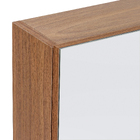 Espelheira para Banheiro 2 Portas 56x80x14cm Life Freij Astral Design