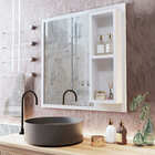 Espelheira Armário Aéreo Suspenso Embutido de Parede para Ban