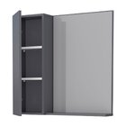 Espelheira Para Banheiro Com Armário  Cinza