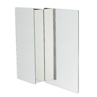 Espelheira para Banheiro de Sobrepor com 1 Porta 49x53x9cm Prata H Chebli