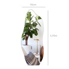 Espelho Corpo Inteiro Orgânico 170x70 Flame Rei Dos Vidros Pr