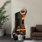 Espelho De Chão Orgânico E18 Grande Corpo Inteiro 150x60  Mol