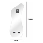 Espelho De Chão Orgânico E18 Grande Corpo Inteiro 170x70  Mol