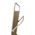 Espelho Decorativo De Chão Com Suporte New Rosa 153x43cm Reta