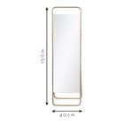 Espelho Decorativo De Chão Com Suporte New Rosa 153x43cm Reta