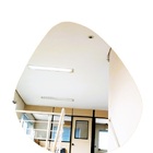 Espelho Decorativo Orgânico Lapidado 55x77cm