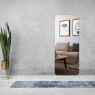 Espelho Grande Corpo Inteiro 120cm X 60cm Retangular Luxo Dec