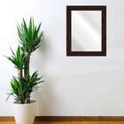 Espelho Jacaranda Esc 50x60cm