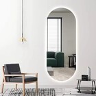 Espelho Lapidado Oval Iluminado Com Led Frio - 50x100cm