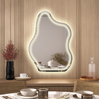 Espelho Led 3 Cores Banheiro Organico Touch C/ Desembaçador 1