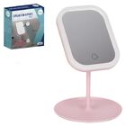 Espelho Led Com Suporte 30x14x18cm