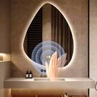 Espelho LED para Banheiro 70x50cm com Desembacador e Touch In