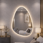 Espelho LED para Banheiro 70x50cm com Desembacador e Touch In