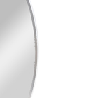 Espelho Minimalista Oval 40x70 cm Prata Toque de Sofisticação