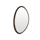 Espelho Orgânico De Parede Decorativo Para Quarto 50x64cm - T