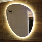 Espelho Orgânico Decorativo Com Led 70x50cm Sala Banheiro Bra