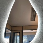 Espelho Orgânico Decorativo Iluminado Com Led Frio 45x80cm