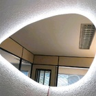 Espelho Orgânico Decorativo Iluminado Com Led Frio 55x77cm